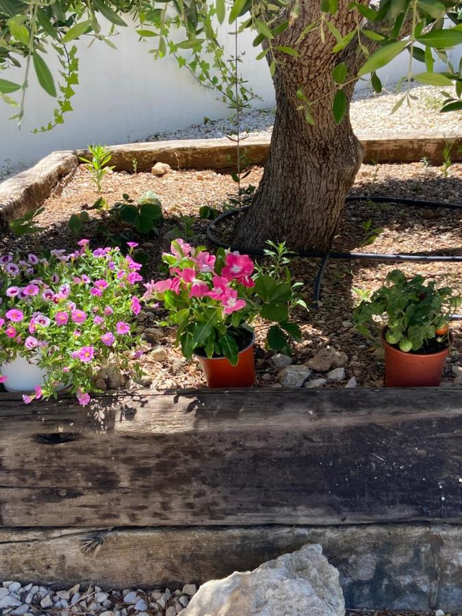 Javea Villa Entiere Piscine Et Cuisine D'Ete A Pinosol Dış mekan fotoğraf